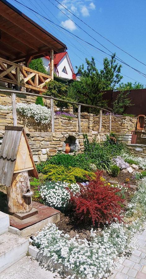 Вулик Будиночок З Двома Окремими Номерами Kamianets-Podilskyi Exterior photo